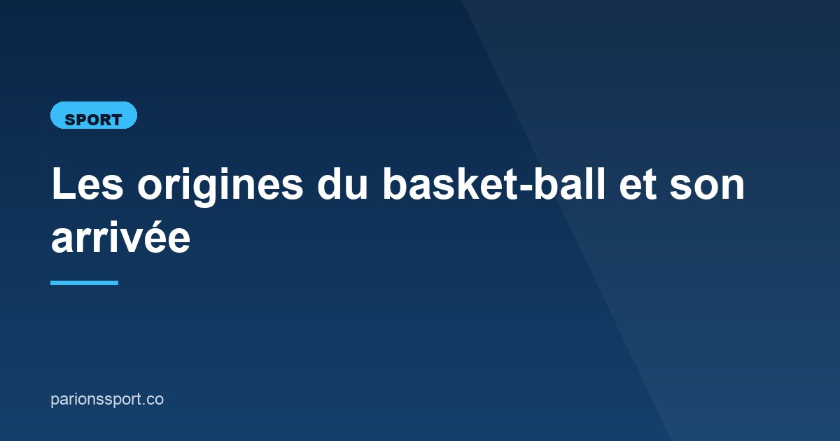 Illustration de l'article consacré au basket-ball